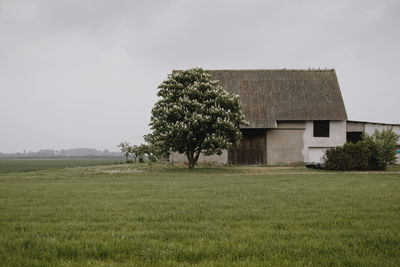 House on grassy field against clear sky