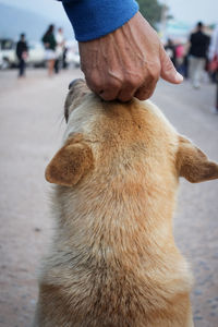 Close-up of human hand on street