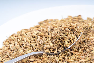 Close-up of rice on table