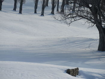 Scenic view of snow covered landscape