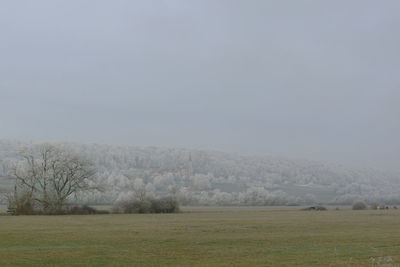 Scenic view of field against clear sky
