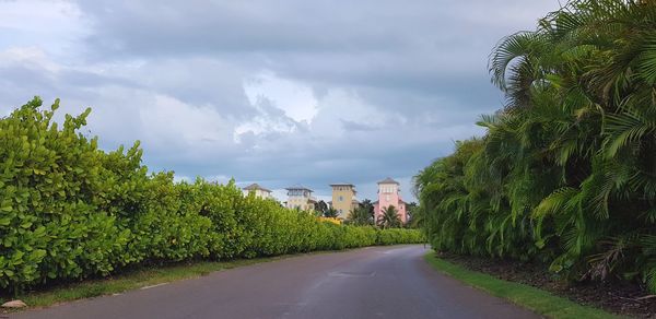 Road amidst trees against sky