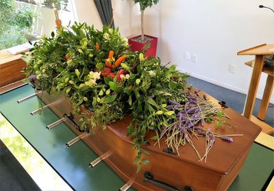 Close-up of potted plant on table