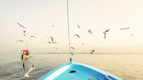 Seagulls flying over sea against sky