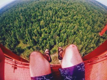 Low section of people sitting against trees