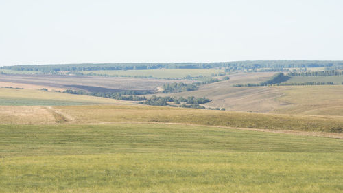 Scenic view of landscape against clear sky