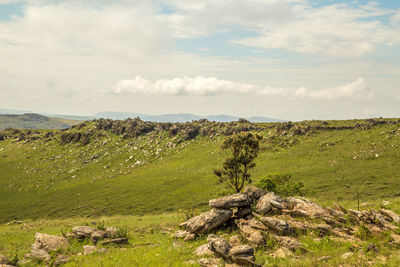 Scenic view of land against sky