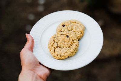 Cropped hand holding cookies in plate