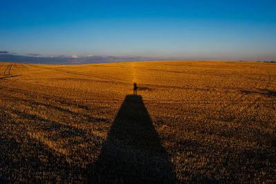 Shadow of person on hay bale at agricultural field
