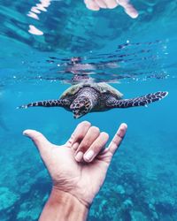 Woman swimming in sea