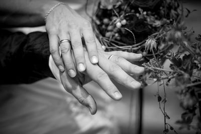 Cropped hands of couple by plants
