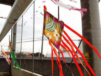 Graffiti on a bird