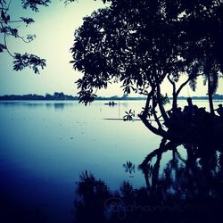 Reflection of trees in calm lake