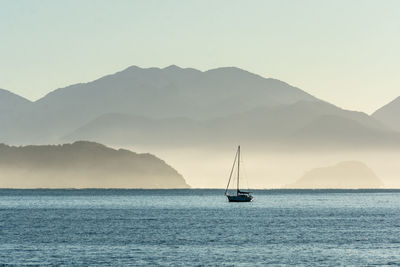 Sailboat sailing on sea against sky