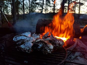 Close-up of bonfire on wooden structure against trees