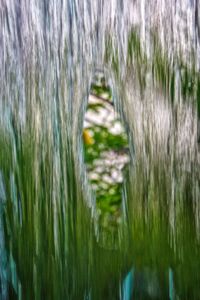 Full frame shot of trees
