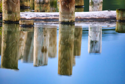 Wooden post in a lake