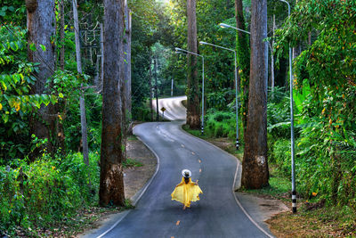 Rear view of man walking in forest