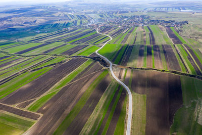 Aerial view of agricultural field