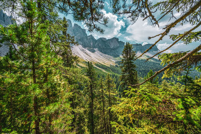 Panoramic view of the odle mountain peaks, italy.