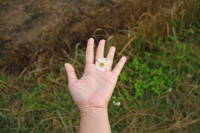 Close-up of woman hand against blurred background