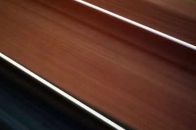 Close-up of tree stump