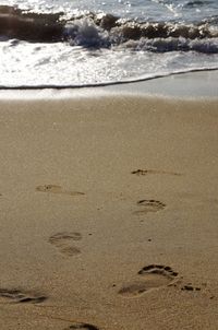 Close-up of waves on beach