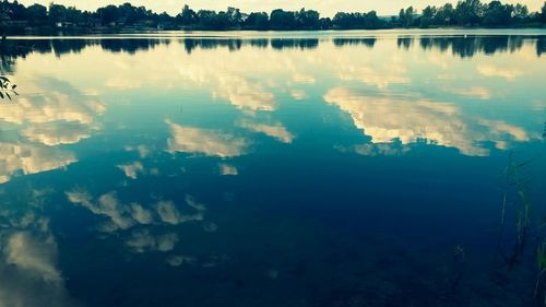 Reflection of trees in calm lake