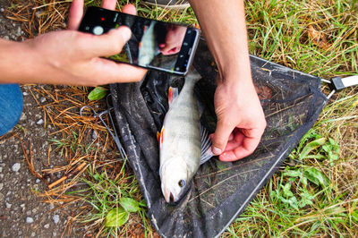 Midsection of man holding fish