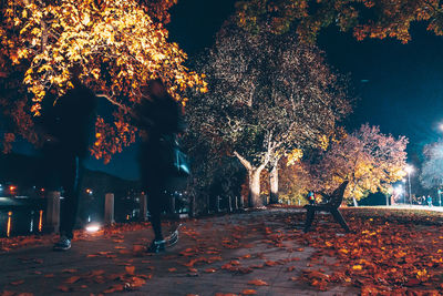 People standing by illuminated trees at night during autumn