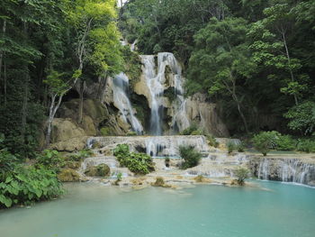 Scenic view of waterfall in forest