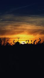 Silhouette of trees at sunset