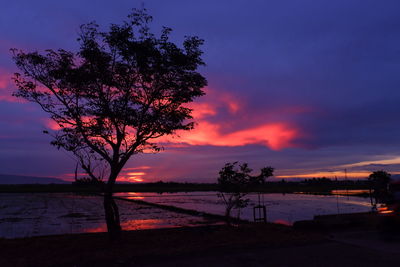 Silhouette tree by lake against sky during sunset