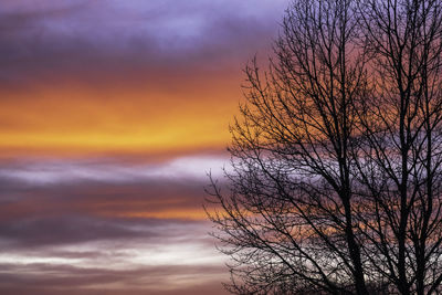 Silhouette bare tree against dramatic sky during sunset