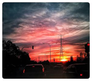 Silhouette of trees at sunset