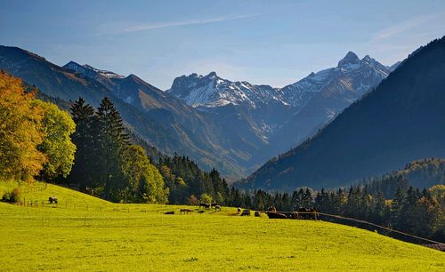 Scenic view of field and mountains against sky