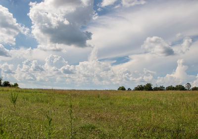 Scenic view of field against sky