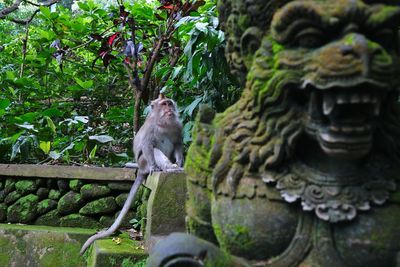 Monkey statue against trees