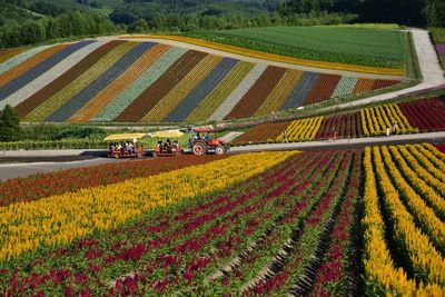 High angle view of people traveling in land vehicles at farm