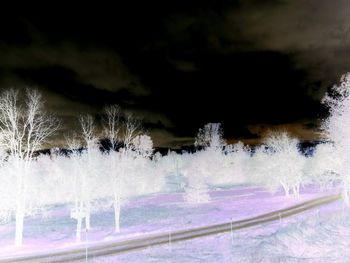 Frozen trees on field against sky during winter