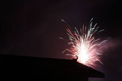 Low angle view of firework display at night