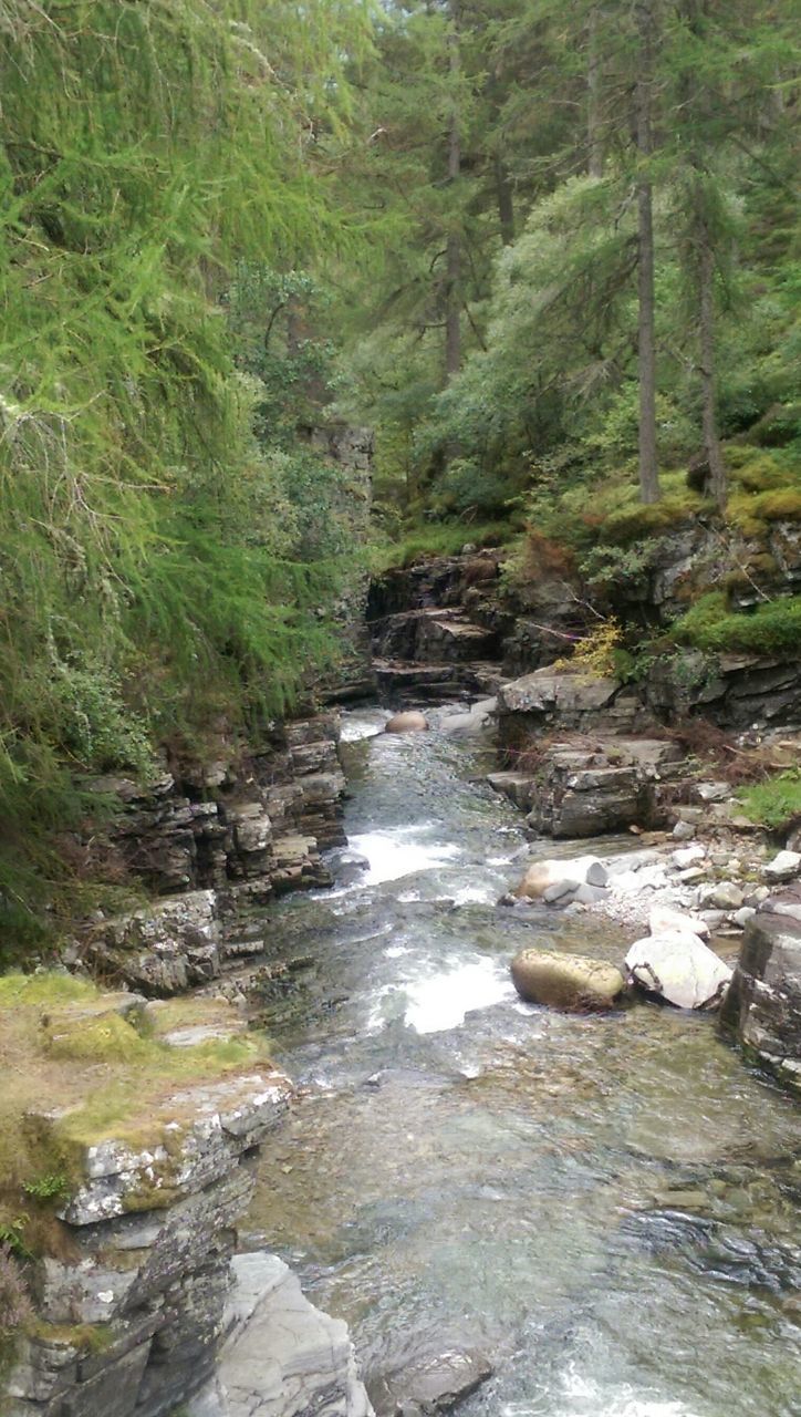 water, stream, rock - object, forest, flowing water, scenics, nature, tree, beauty in nature, tranquility, flowing, tranquil scene, river, waterfall, rock, motion, non-urban scene, rock formation, non urban scene, idyllic