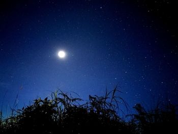 Low angle view of moon against sky at night