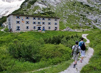 Rear view of people walking on plants
