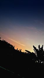 Silhouette trees against sky during sunset