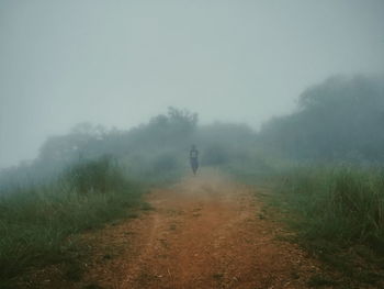 View of trees on landscape during foggy weather