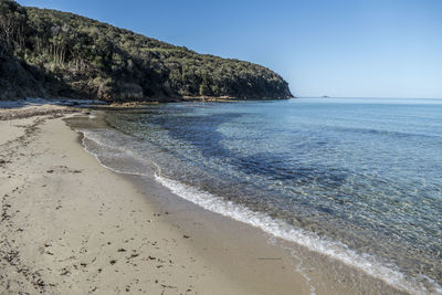 Scenic view of sea against clear sky