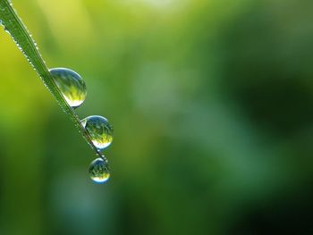 Close-up of wet bubbles