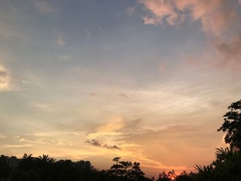 Low angle view of silhouette trees against sky during sunset