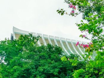 Low angle view of built structure